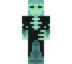 Minecraft Skin #1309