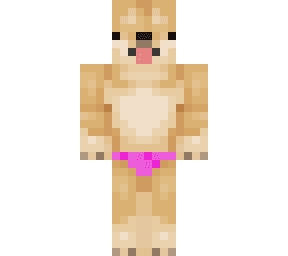 Minecraft Skin #219