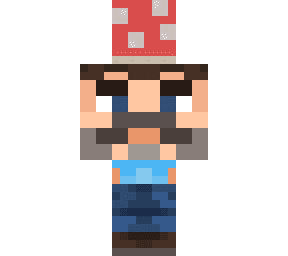 Minecraft Skin #220