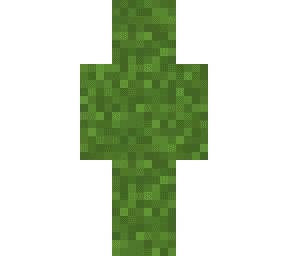 Minecraft Skin #408