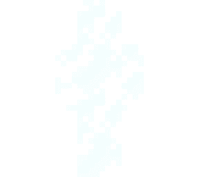 Minecraft Skin #538
