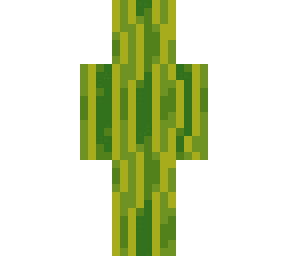 Minecraft Skin #555