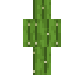 Minecraft Skin #556