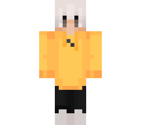 Minecraft Skin #773